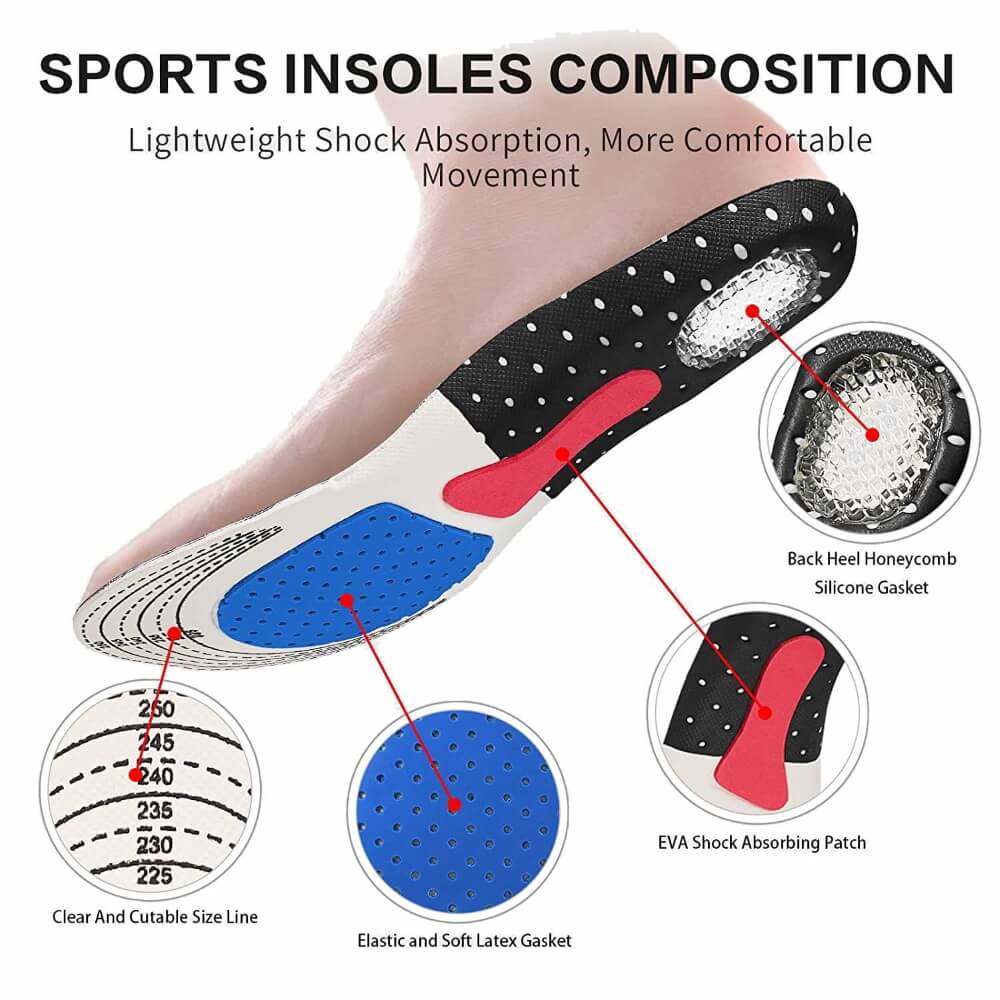 Structure of the Orthotic Insoles